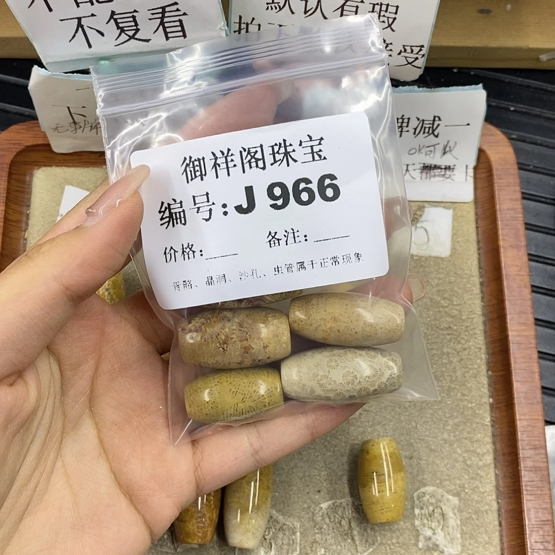 硅化珊瑚（珊瑚玉）未镶嵌颈饰墨***?