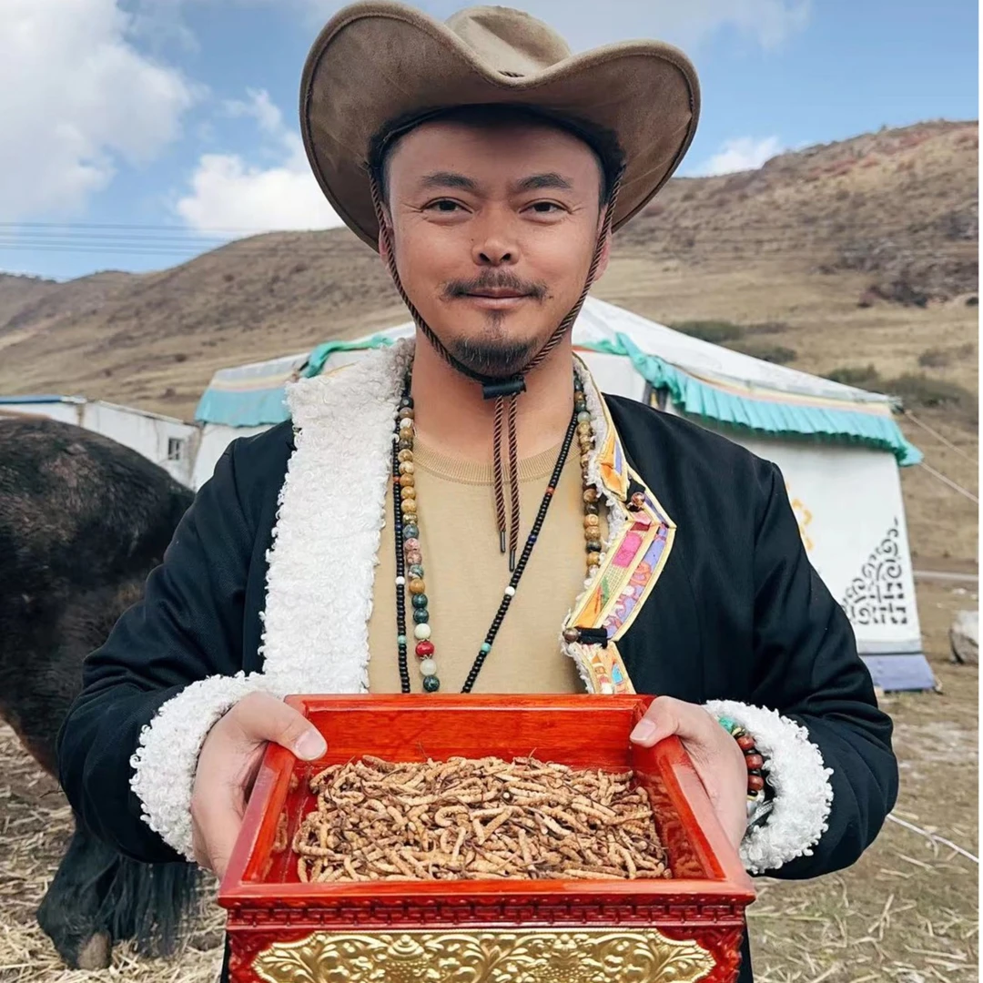 【老贺粉丝专享】高品质冬虫夏草 纯肉节大断草 足干新草滋补养生