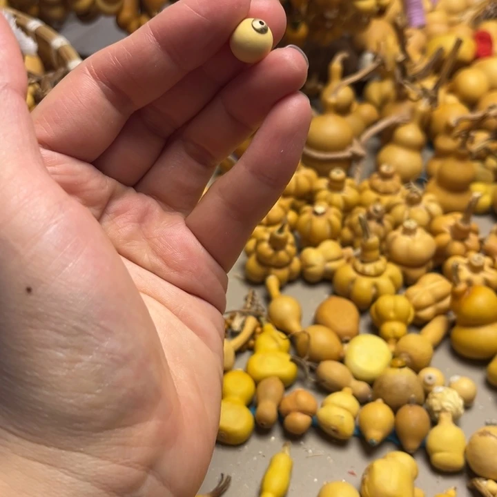 水滴葫芦葫芦葫芦