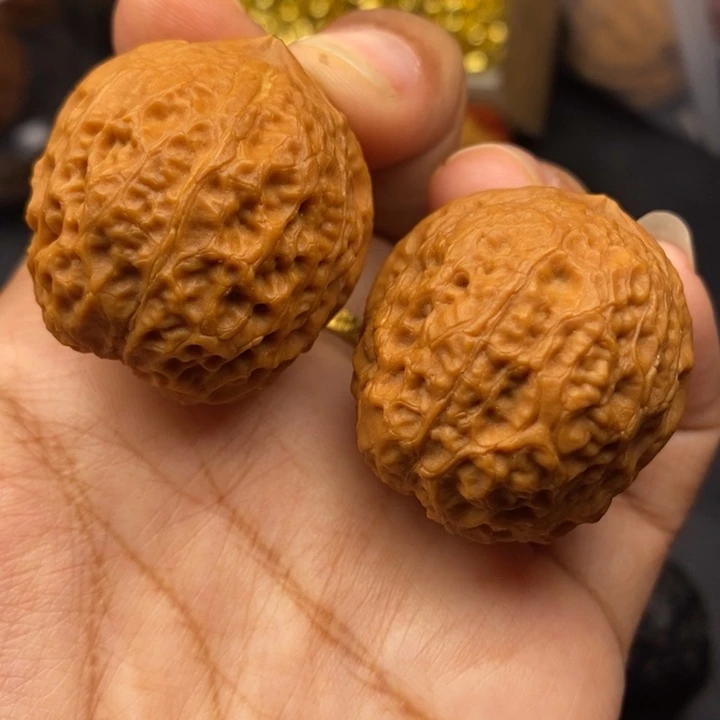 文玩核桃把件39尺蛇皮元宝