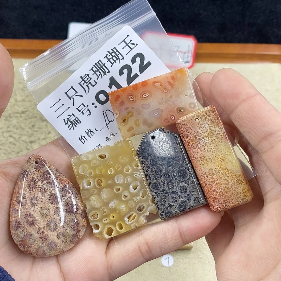 硅化珊瑚（珊瑚玉）1未镶嵌家****！