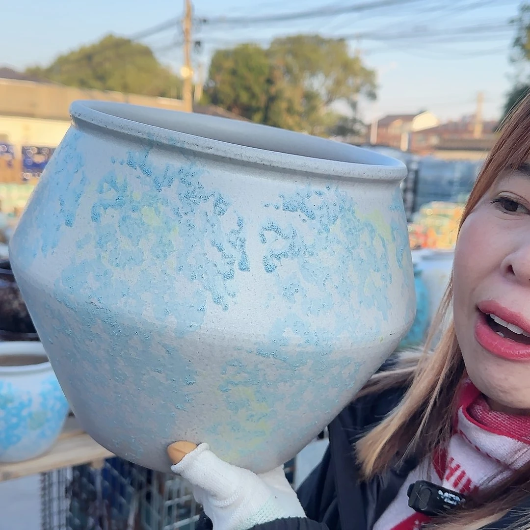 王嫂花盆直播1120-336高23口24