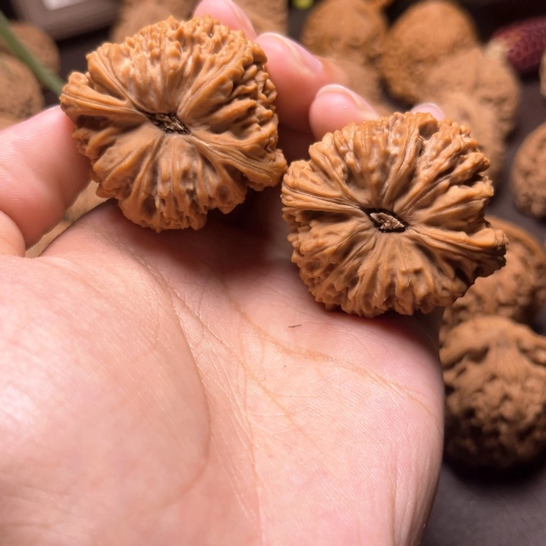 6**1南疆石南疆石尖浮黄42