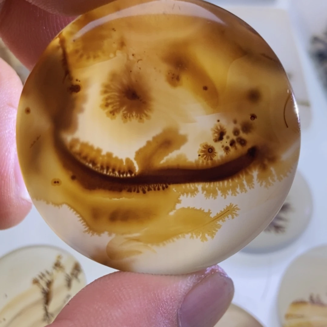 【闪购商品】未镶嵌颈饰玛瑙/玉髓听*斋