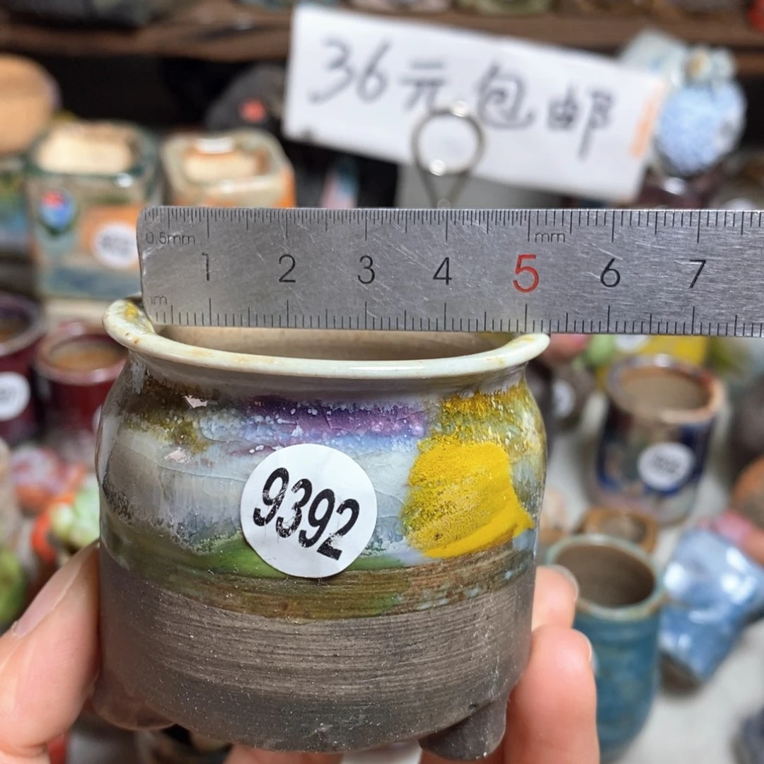 花盆拍5送一个小礼物