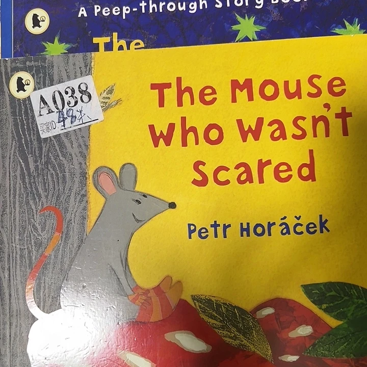 掌灯熊三只小老鼠3本