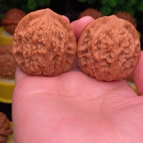 麦虎41全品11111