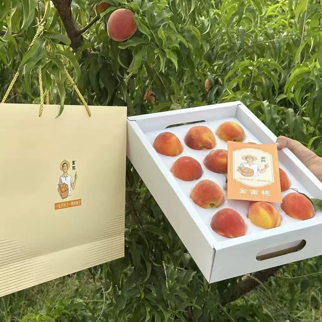 彩虹金蜜桃礼盒装当季时令新鲜水果脆甜多汁顺丰包邮