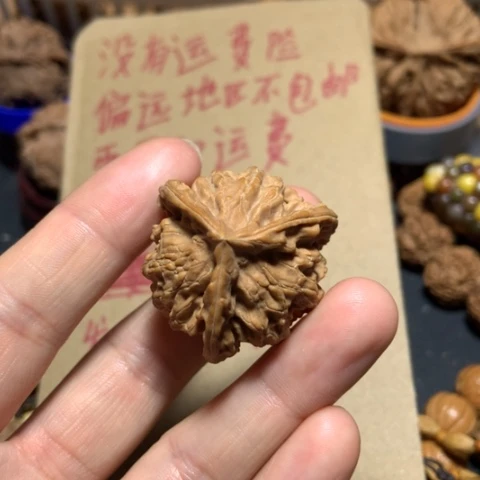 核桃阳盘山小三棱