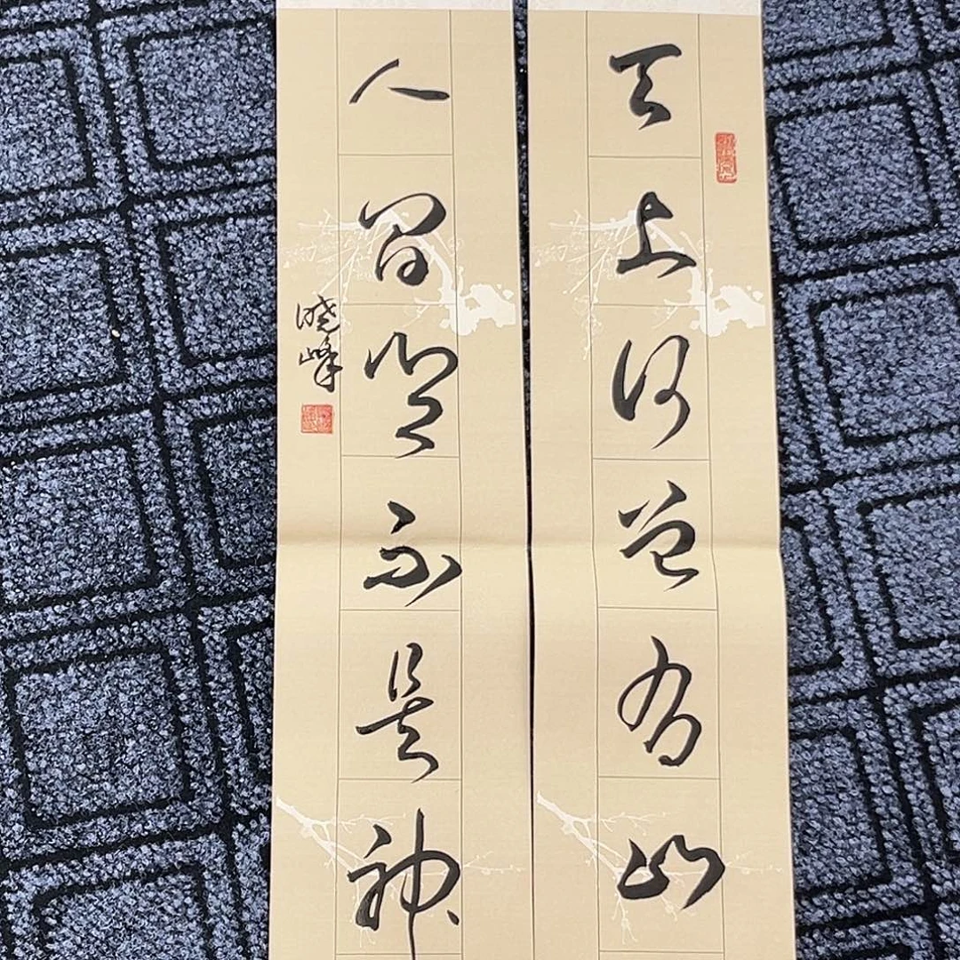 国画夏晓峰老师精品书法冯