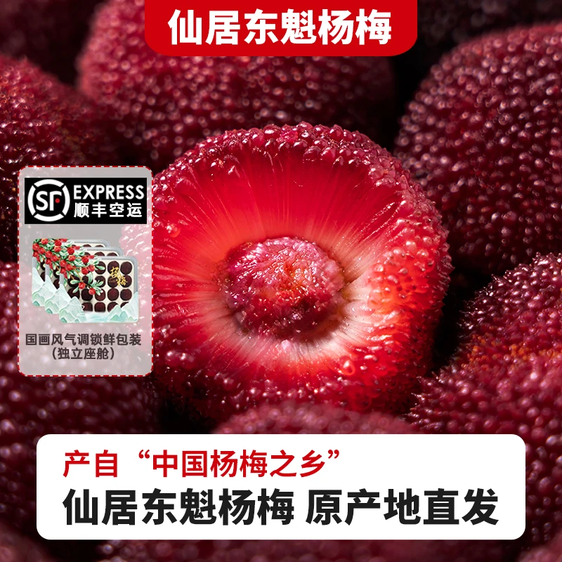 【伙伴牛】浙江仙居东魁杨梅鲜果新鲜水果包邮顺丰冷链发货