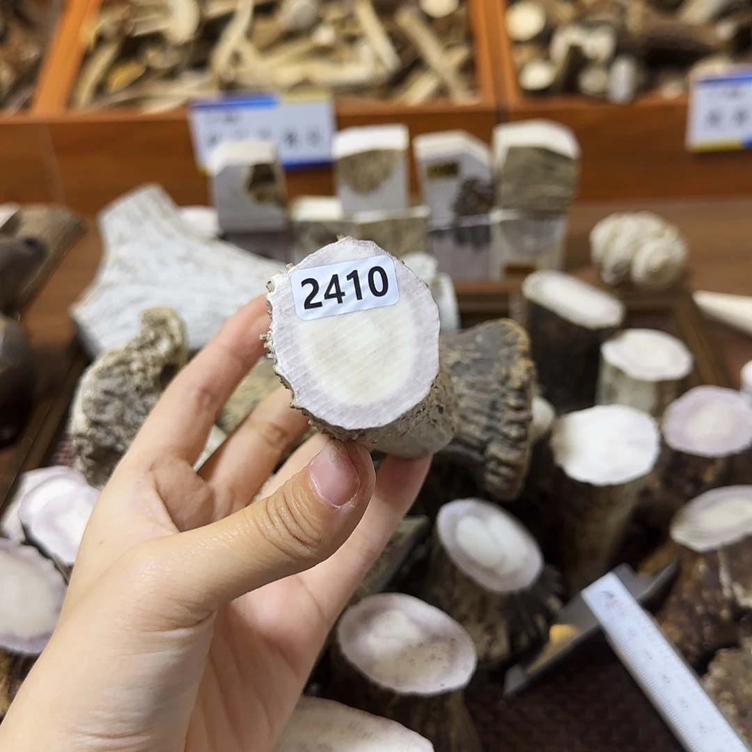 手串/手链鹿骨2410根段