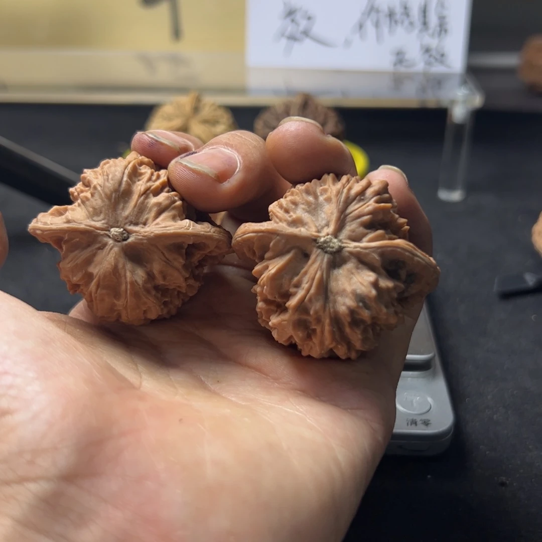 H****？文玩核桃文玩手串