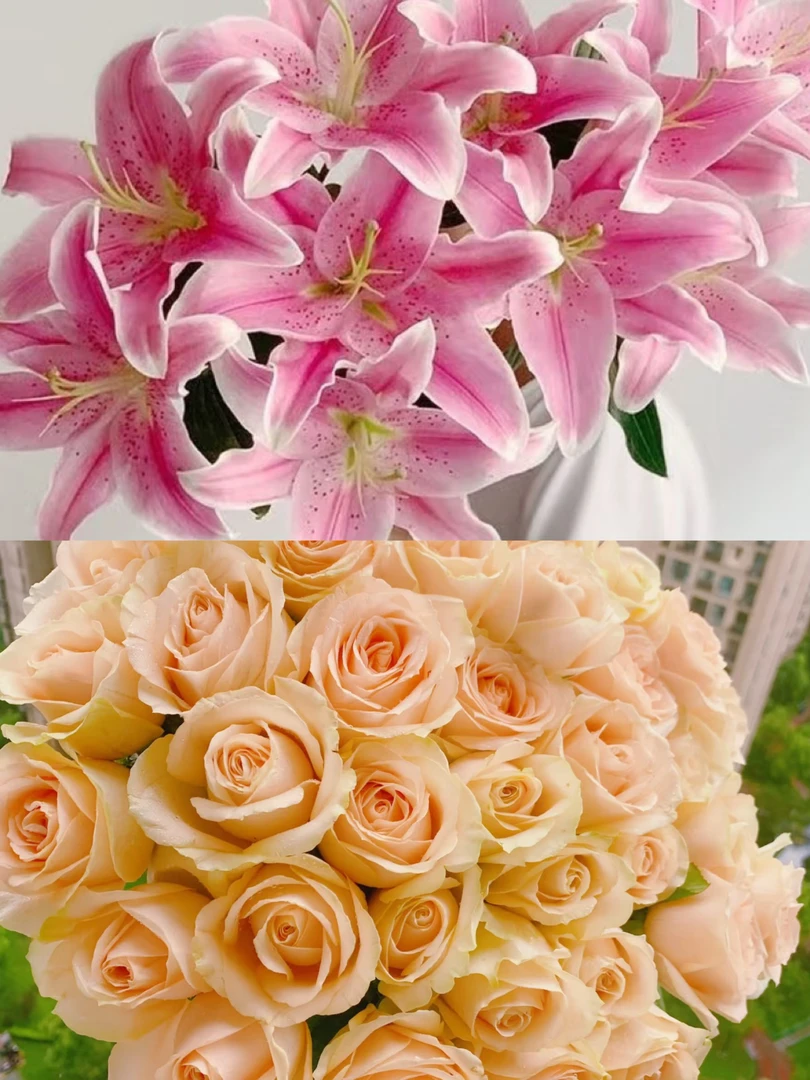 【云南鲜花组合】云南昆明鲜花基地直发鲜切花家庭插花