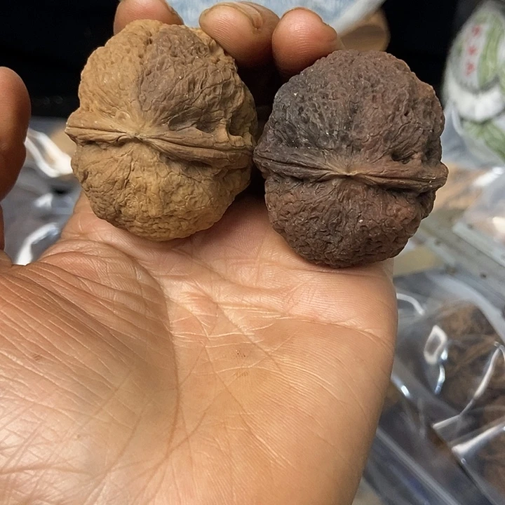 把件文玩核桃云南铁核桃基地52