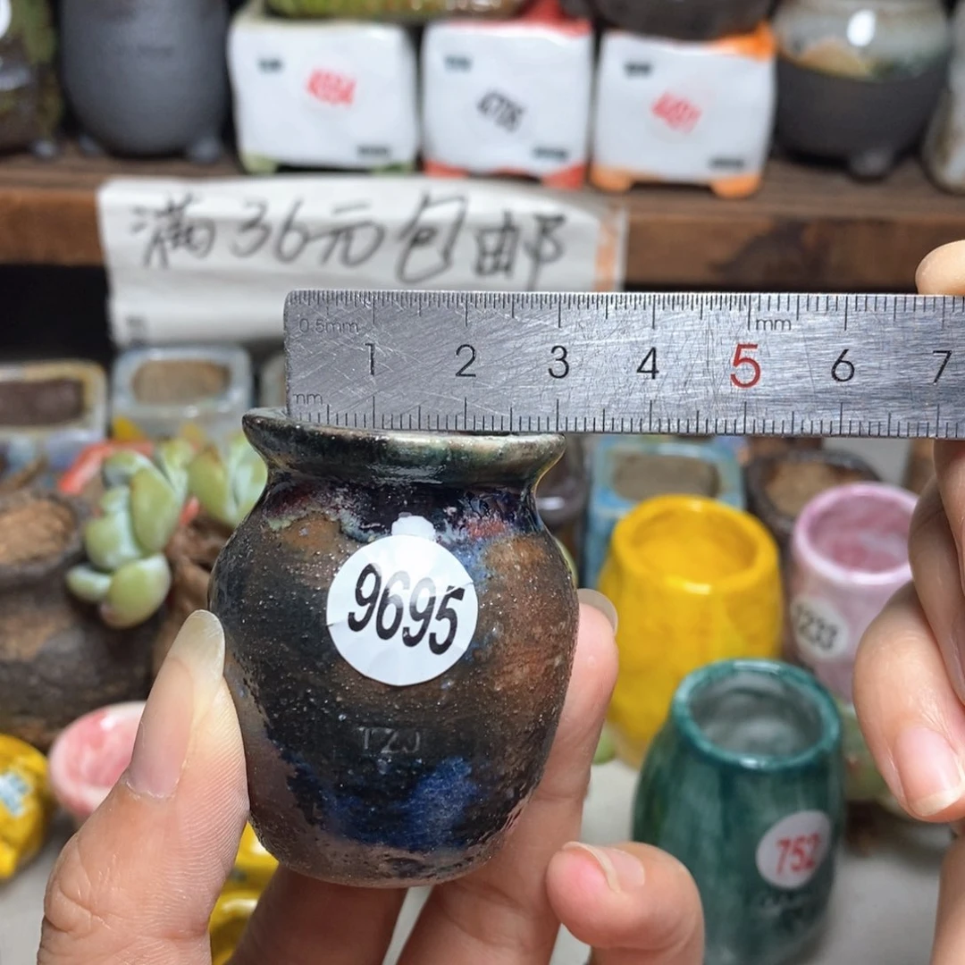 拍5送一个小礼物