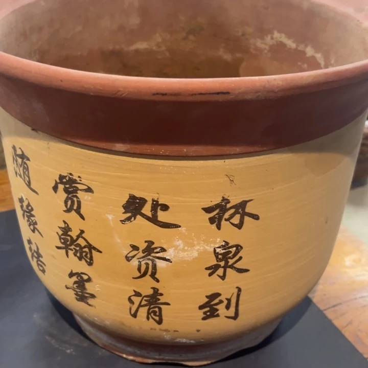 瓷片恩*拾六家的瓷器瓷器