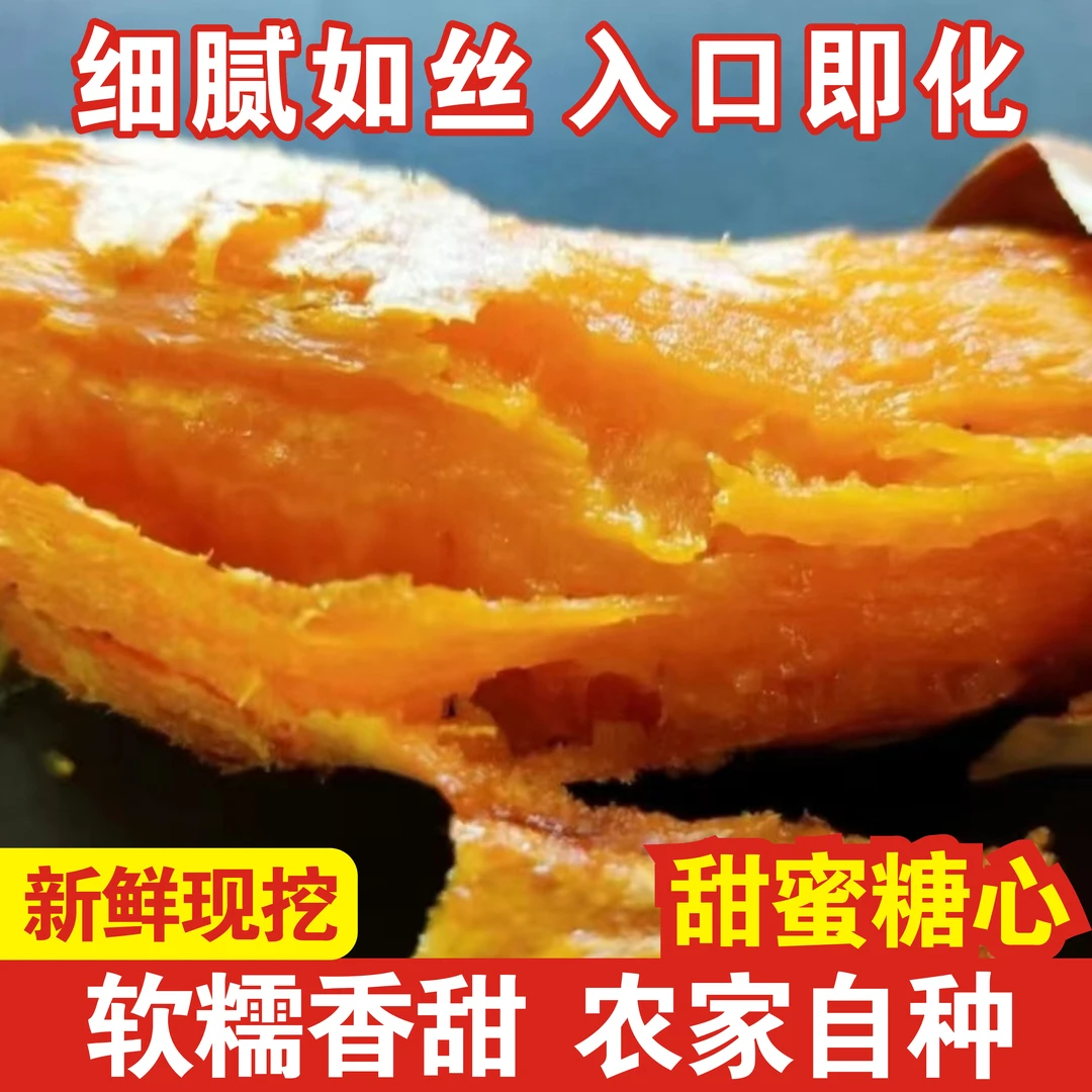 农家自种正宗黄金蜜蛋黄薯黄皮黄心香甜软糯无丝入口即化甜蜜糖心