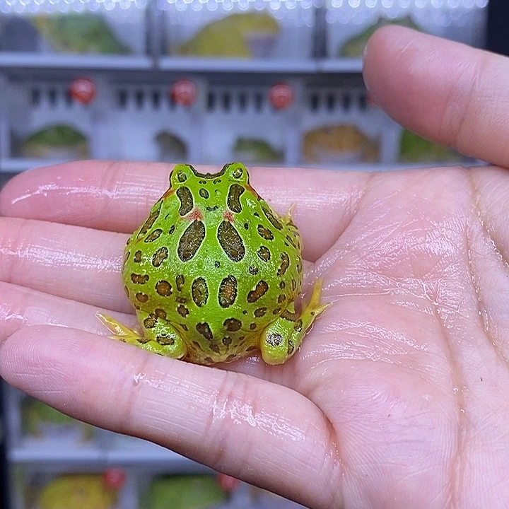 特价秒杀现货供应