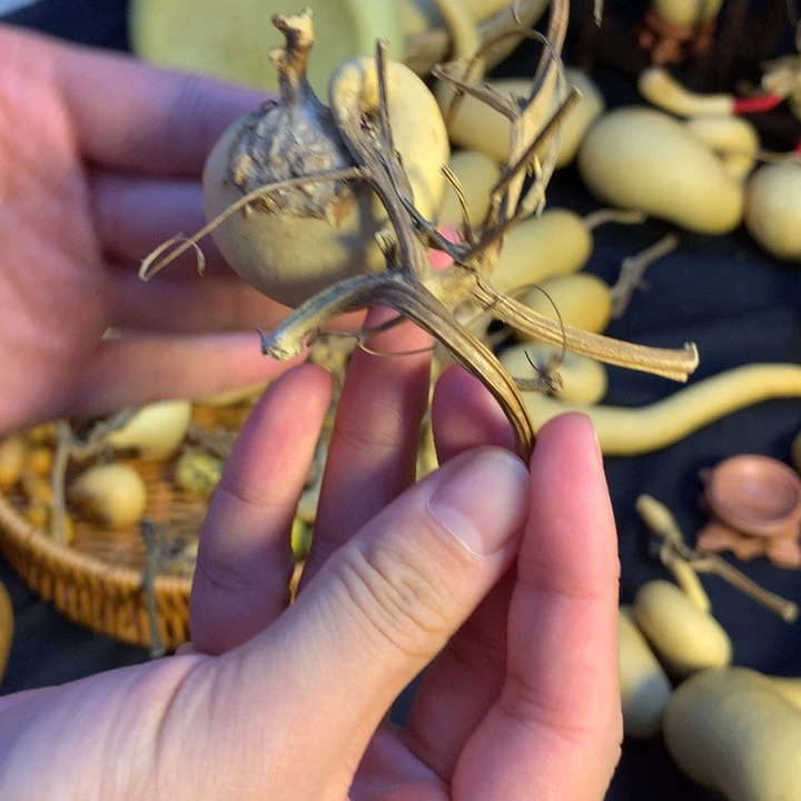 不***葫银S925葫芦葫芦葫芦葫芦