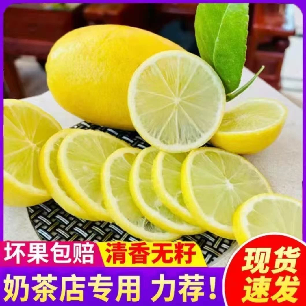 香水无籽黄柠檬海南新鲜水果现摘现发非冰鲜柠檬皮薄大果广东