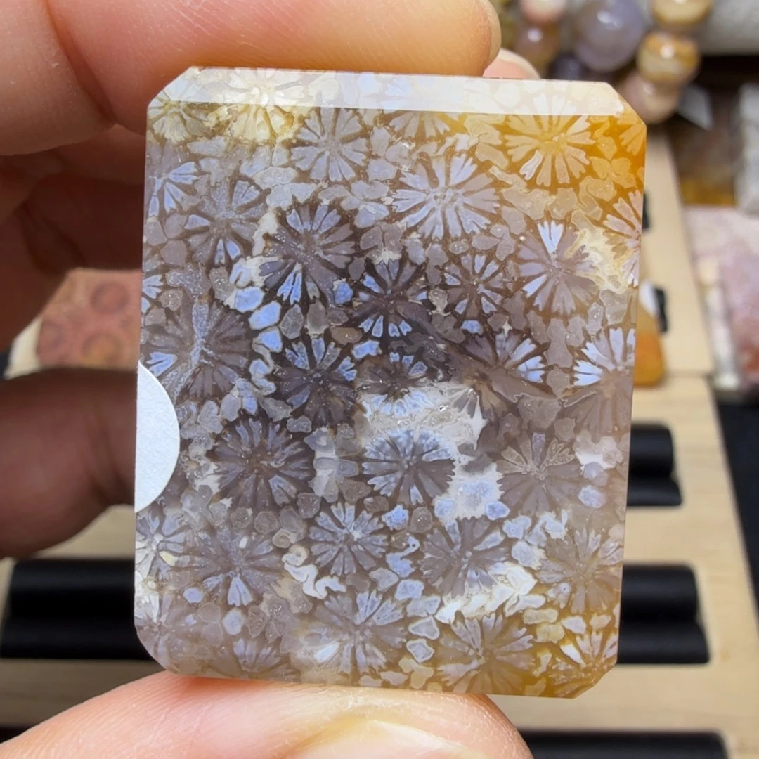 硅化玉未镶嵌纯天然色有机玉石保真色