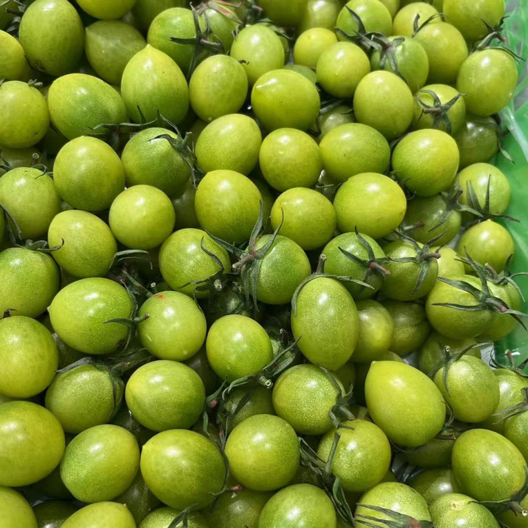 青田小番茄绿色樱桃小番茄山东省