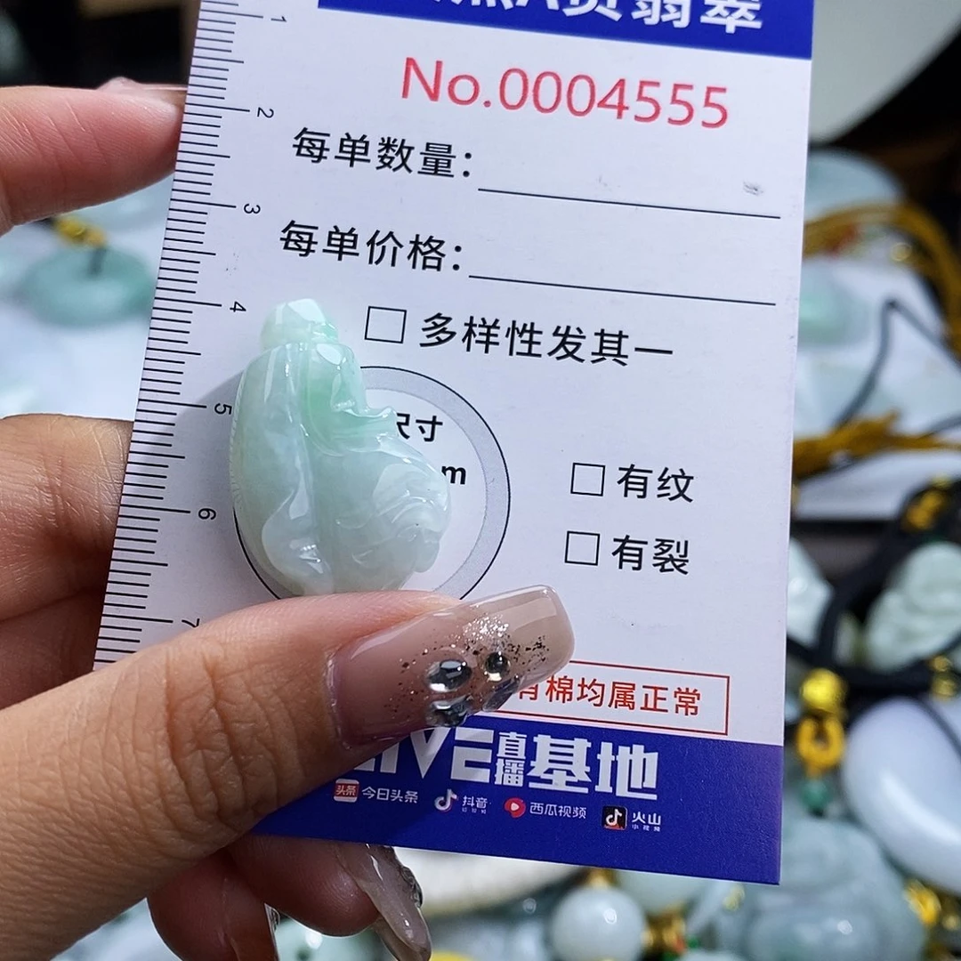 翡翠未镶嵌颈饰4555