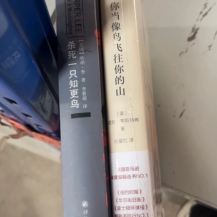 知更鸟，当鸟全新精装