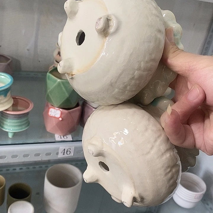 花盆抢购清货马上开始