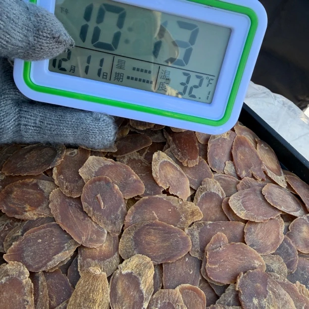 长白山滋补红参片.4