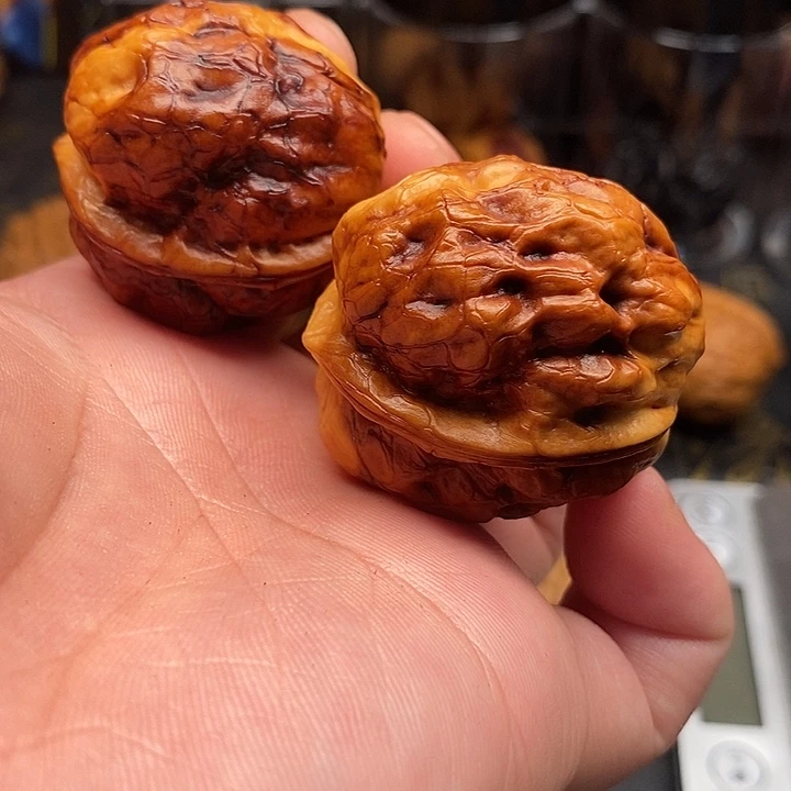 文玩核桃把件七彩疙瘩包