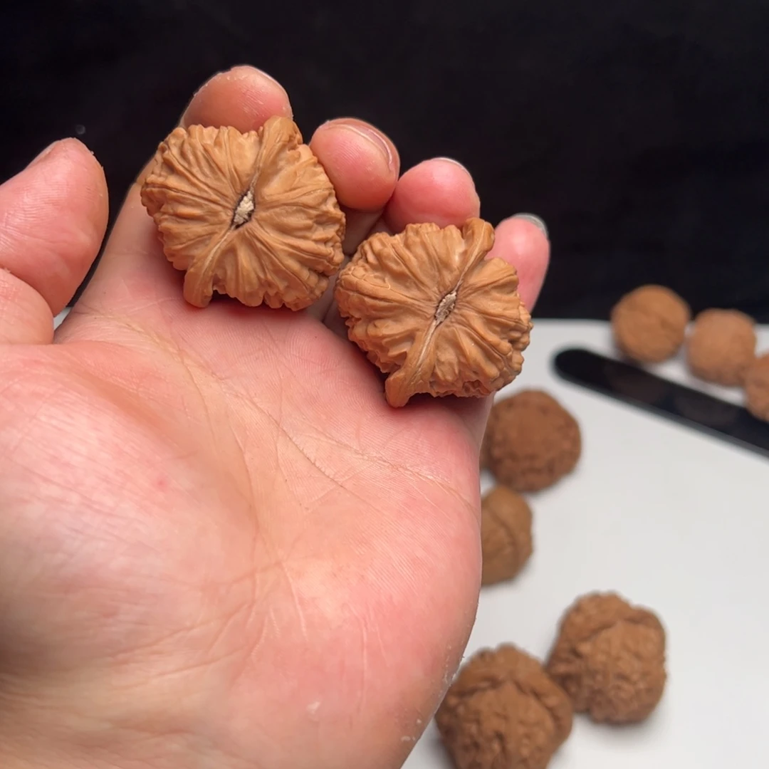 T****t40  尺全品三角白狮子 66688868