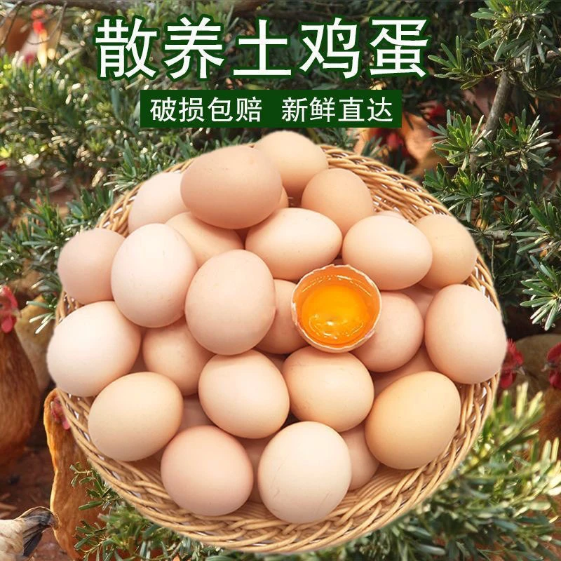 正宗散养新鲜土鸡蛋整箱30枚