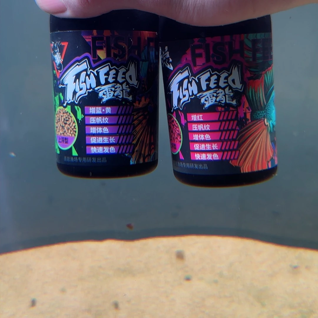 热带鱼公1055555555