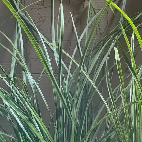 完全开放时间大家都觉得