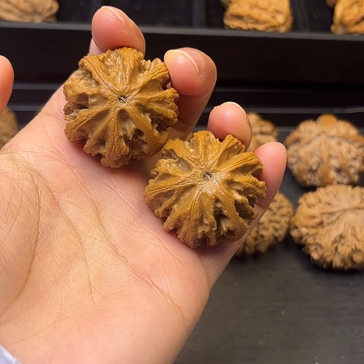 核桃秦岭突突突突突突突9