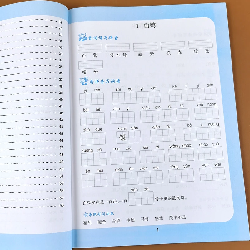 五年级上册 看拼音写词语生字注音 语文配套练习册部编人教版语文