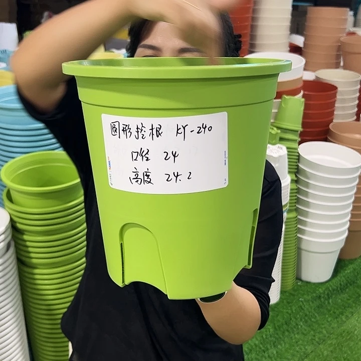 正品圆控口24高24果绿无托8只