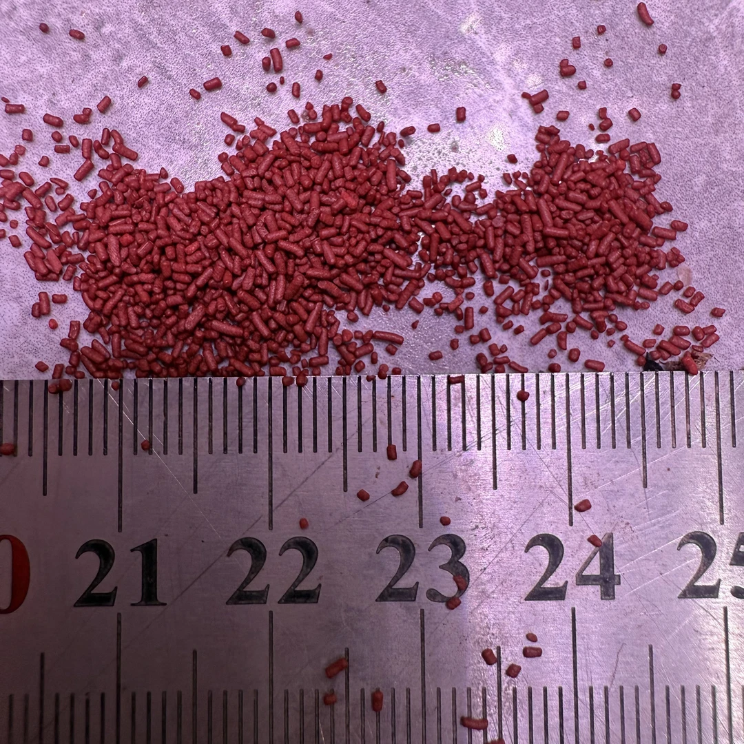 小卫共伴下沉小南美0.5观赏鱼增色高蛋白