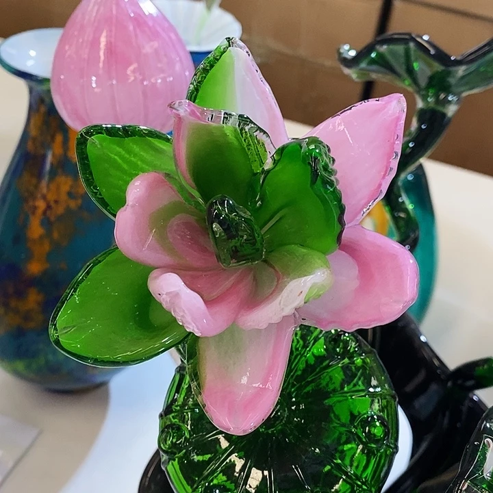 快***！荷花高45厘米宽12厘米