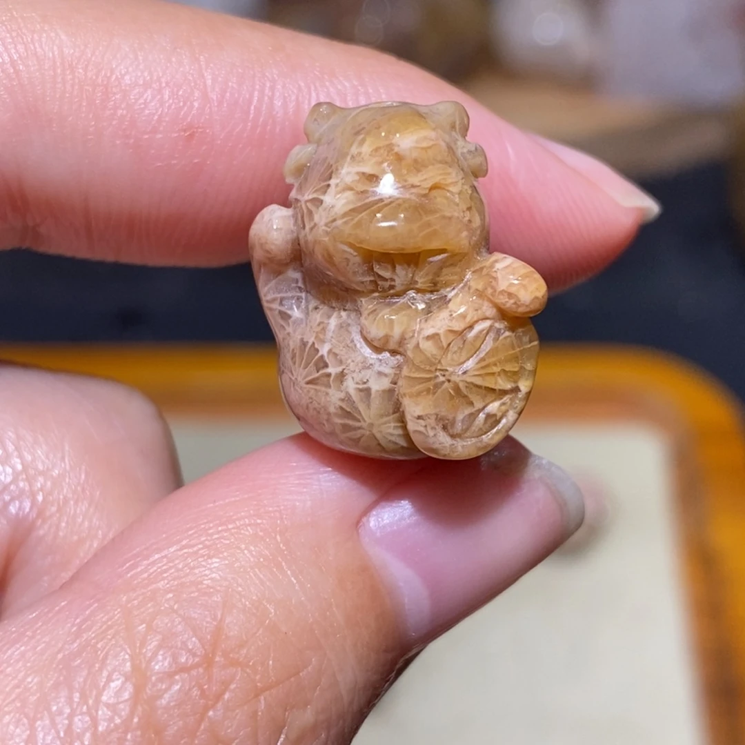 【闪购商品】硅化玉颈饰未镶嵌