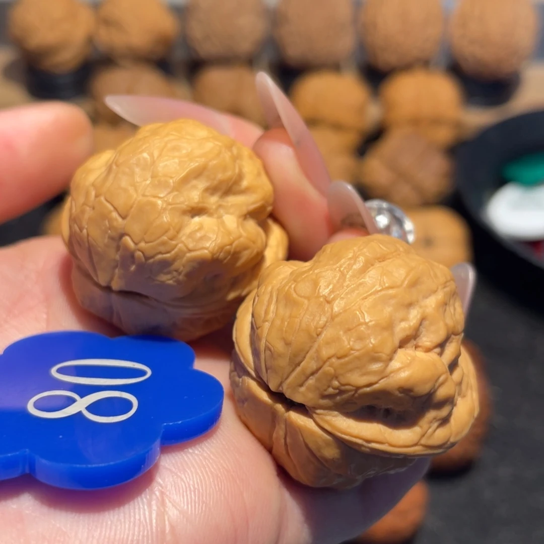 *****金刚鹦鹉核桃32。