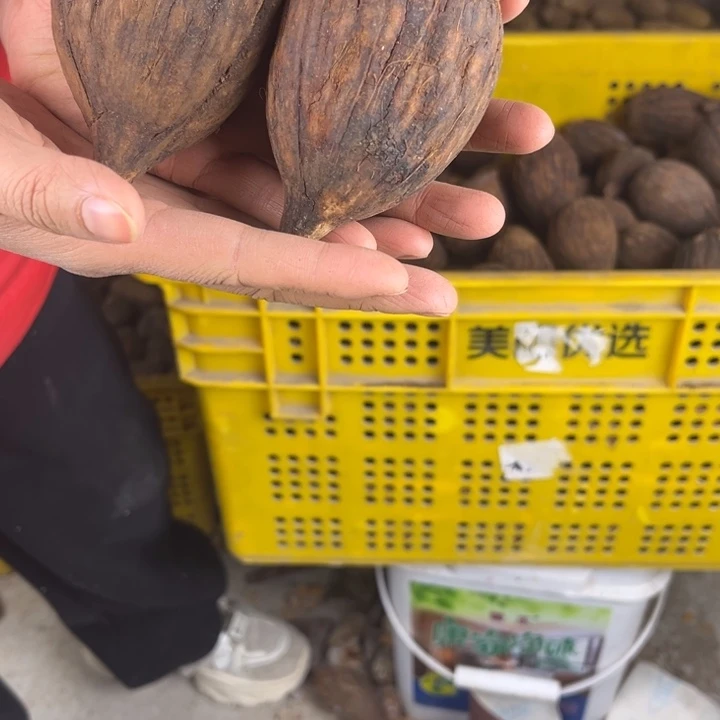 吊坠库克可以。库克 93。