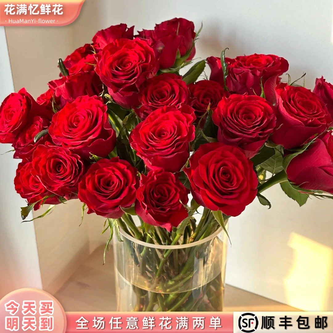 次日达 -【永远都热烈的红玫瑰】10支新品红玫瑰鲜花鲜切花家居花批发满两单顺丰包邮三单送花瓶今天拍明天到99