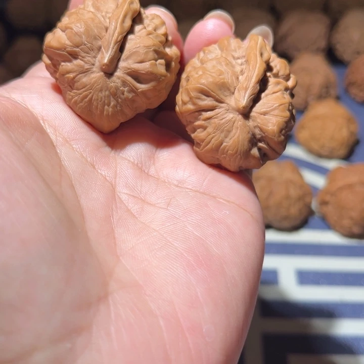 文玩核桃吊坠蛤蟆
