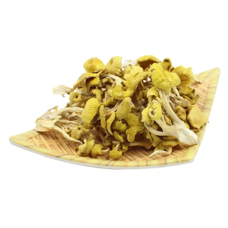 (划拉哥团长专属)东北榆黄蘑干货【支持试吃一袋】味美鲜香煲汤佳品