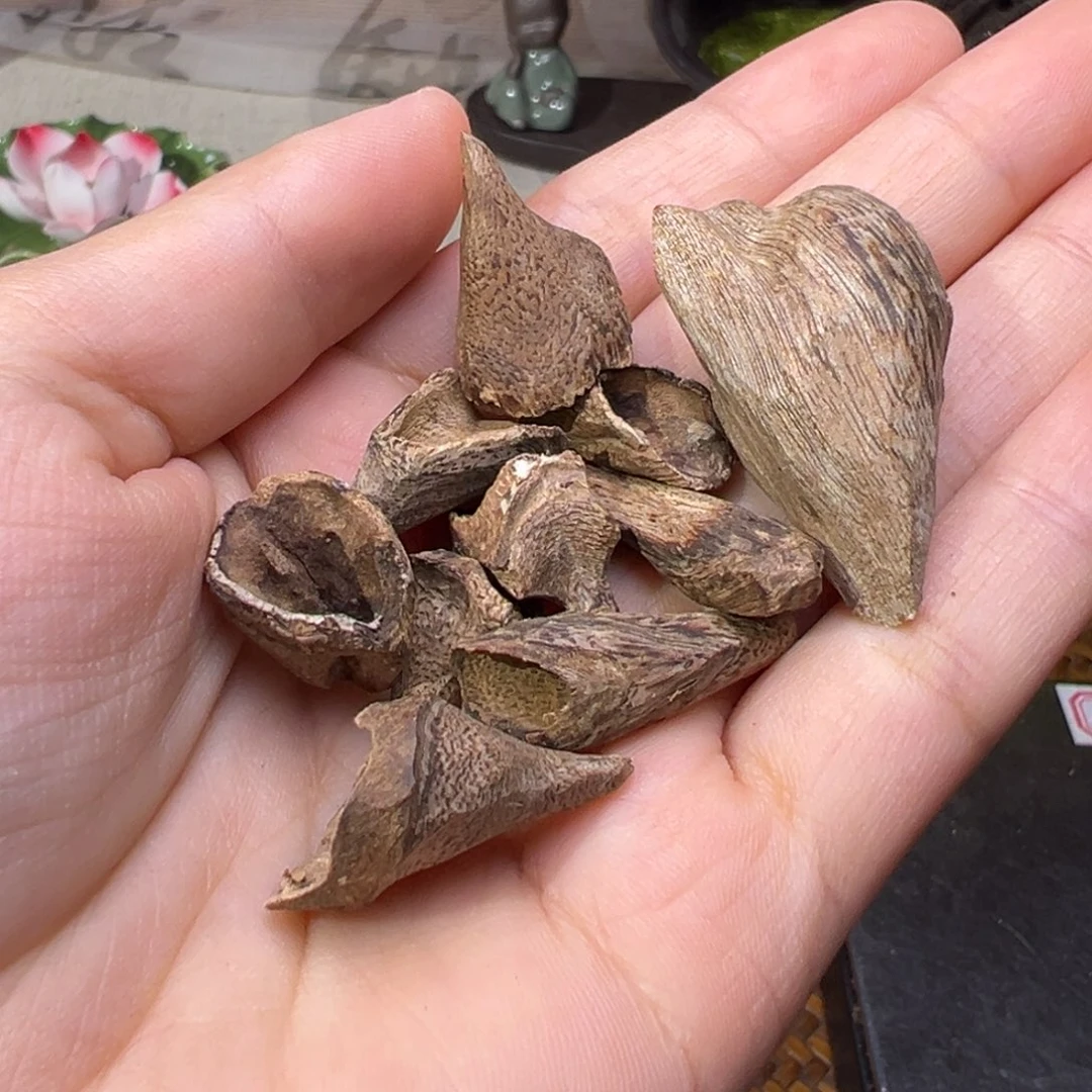 沉香碎屑沉香海南大山土沉熟结香5.5克