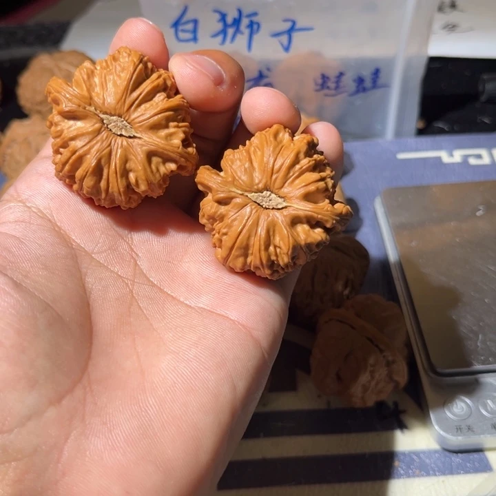 文玩核桃吊坠﹌白狮子