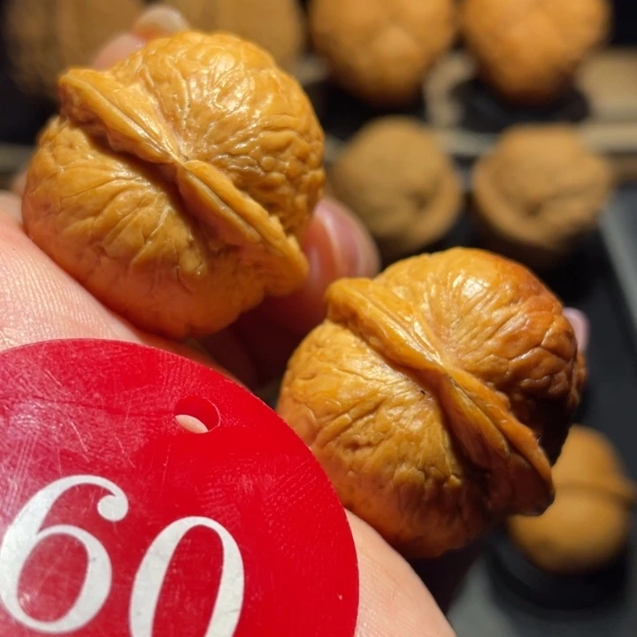 七彩蛇皮球核桃尺寸32